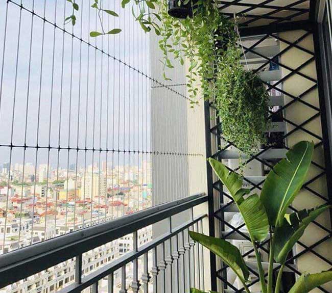 Lưới An Toàn Ban Công