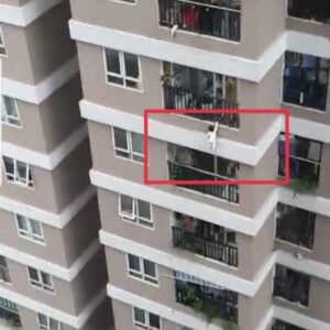 Lưới An Toàn Chung Cư